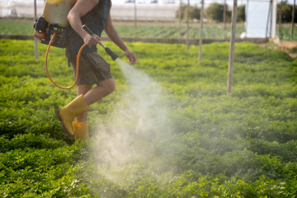 Best Affordable Pest Control Services  in Port Charlotte, FL
