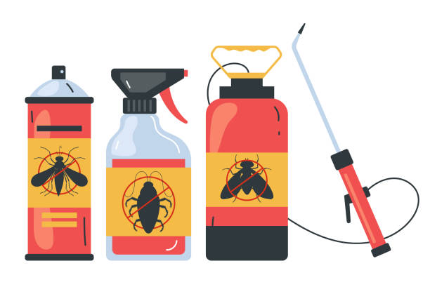 Best Ant Control Services  in Port Charlotte, FL