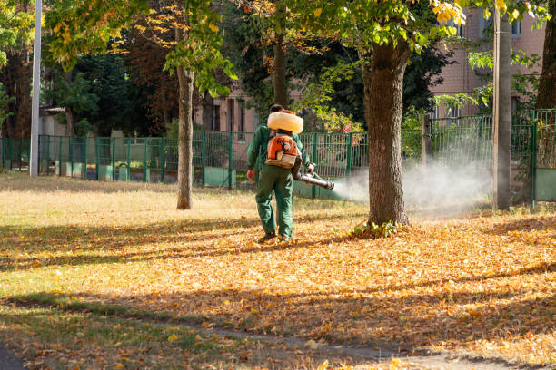 Reliable Port Charlotte, FL Pest Control Solutions