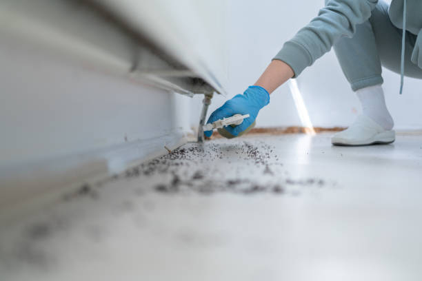 Pest Control Cost in Port Charlotte, FL